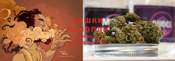 стаф Дмитриев