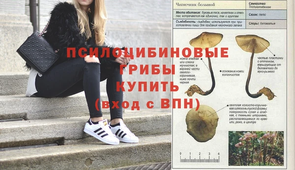 мефедрон Дмитровск