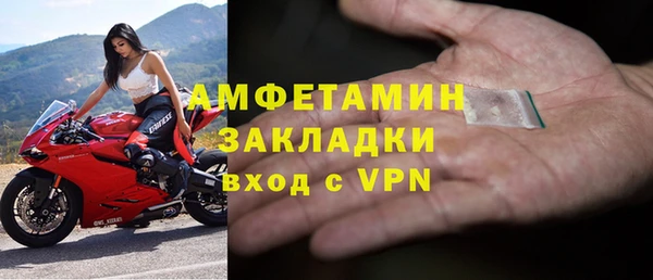 стаф Дмитриев