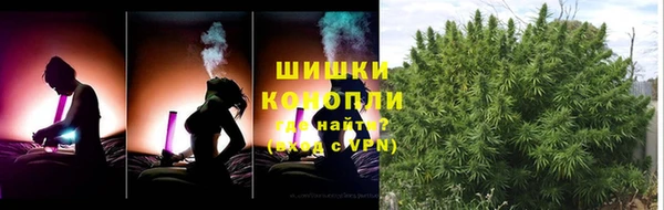 стаф Дмитриев