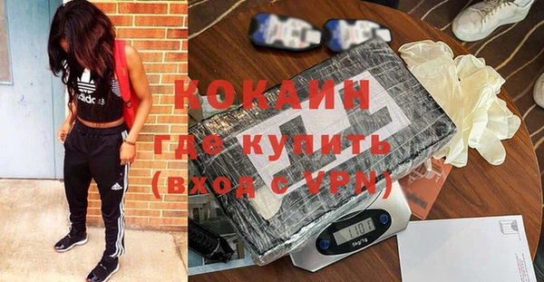 стаф Дмитриев