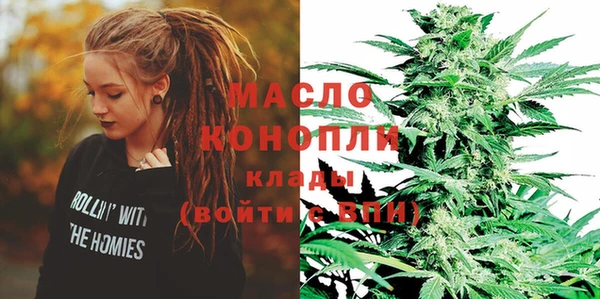 стаф Дмитриев