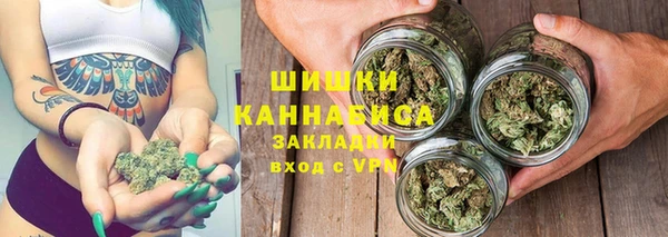 стаф Дмитриев
