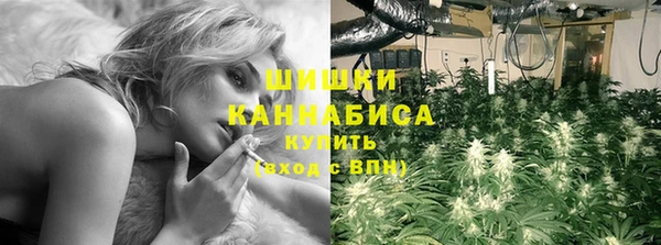 стаф Дмитриев